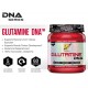 Glutamine DNA 309 g